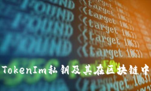 深入了解TokenIm私钥及其在区块链中的重要性